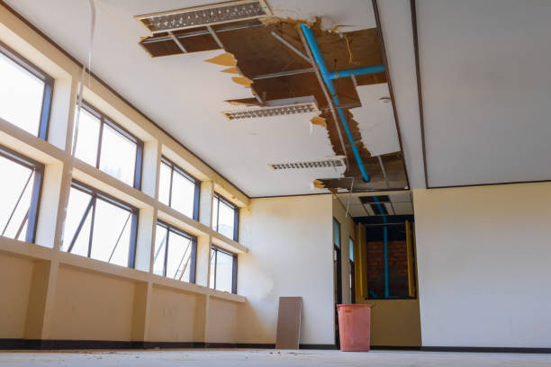 Best Water damage contractors near me  in Shannon Hills, AR