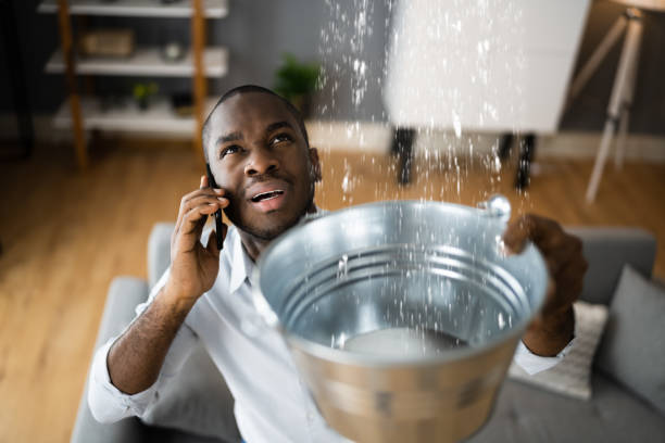 Best Water damage restoration insurance claims  in Shannon Hills, AR
