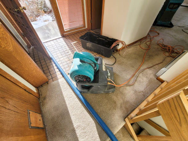 Best Basement water damage restoration  in Shannon Hills, AR