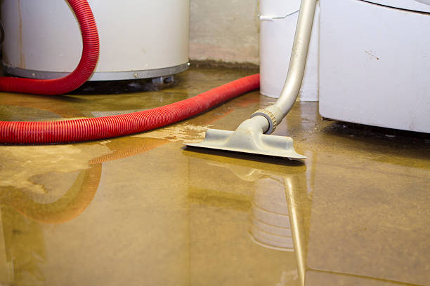Best Ceiling water damage repair  in Shannon Hills, AR