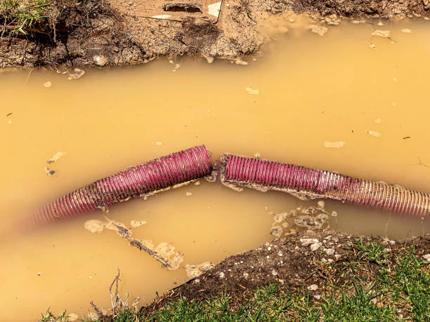 Best 24/7 water damage repair  in Shannon Hills, AR